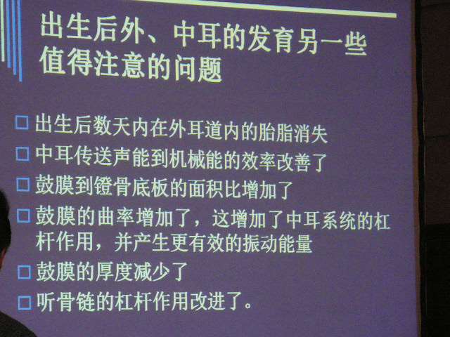P1100839.JPG