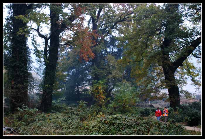 DSC_2644.JPG