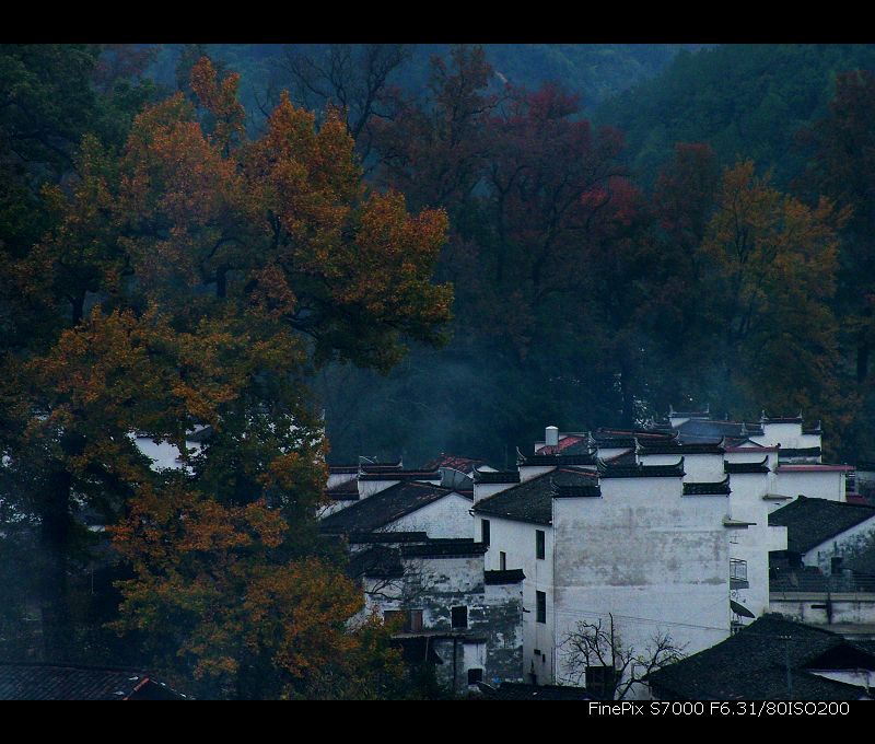 DSCF0430.jpg