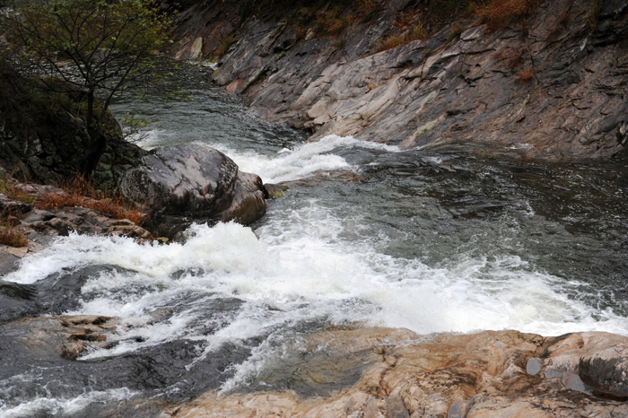 DSC_0435.JPG