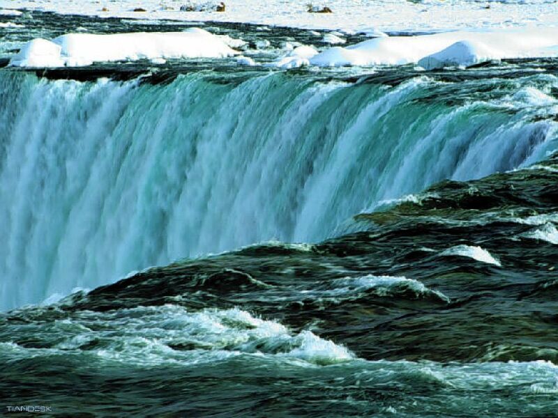 nature100_800.jpg