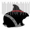 172348796.gif