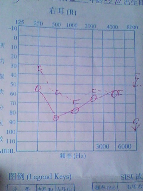 IMG0233A.jpg