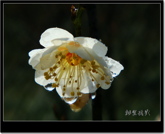 DSC02589_.JPG