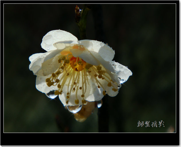 DSC02590_.JPG