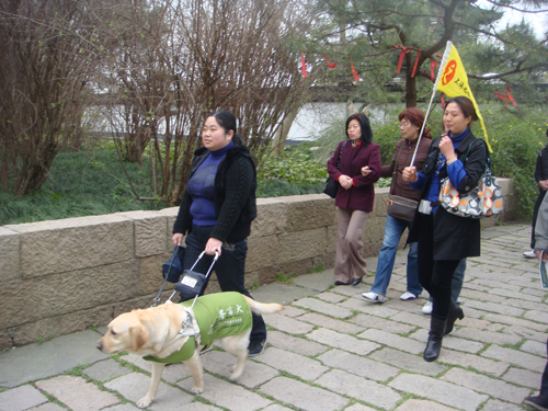 DSC06039.JPG