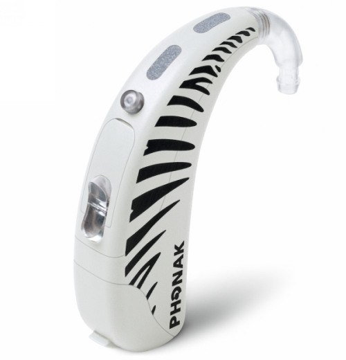 image.resize.500.520.png