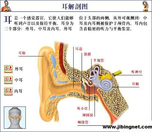 dd30873f968b031470cf6cb1.jpg