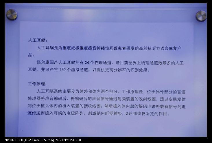 nEO_IMG__DSC1106.jpg