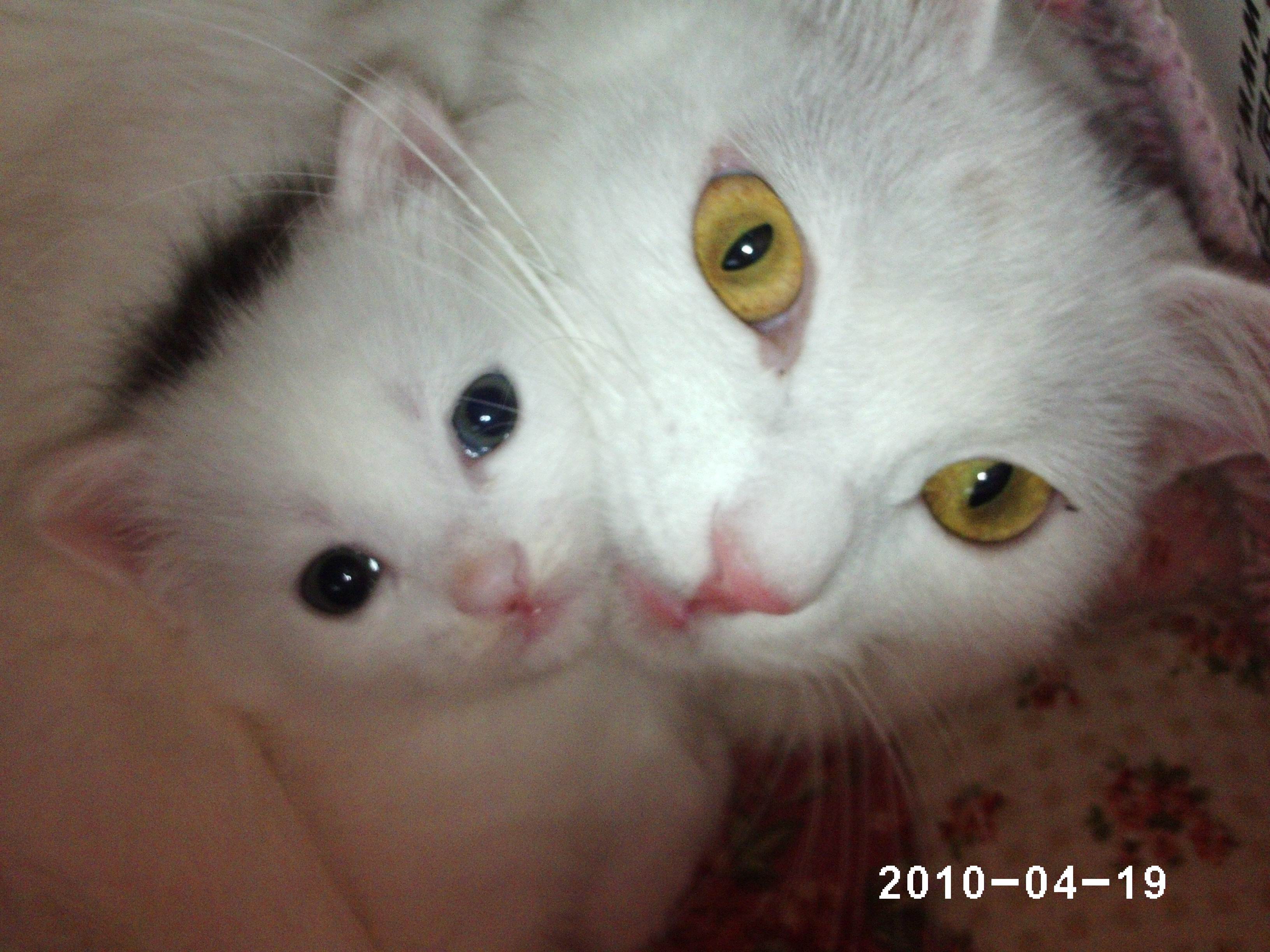 PHOT0007.JPG