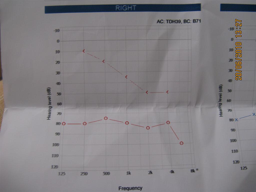 IMG_0055 (Large).JPG