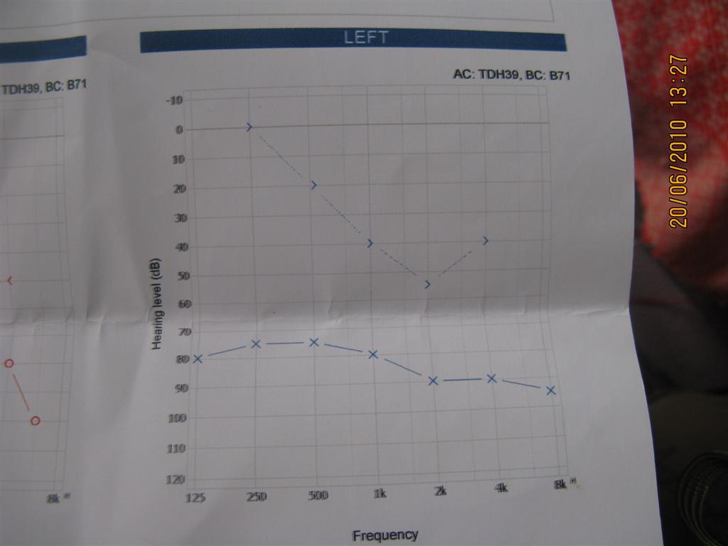 IMG_0056 (Large).JPG