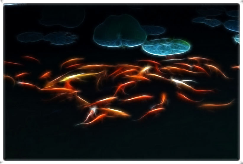 IMG_6803-PS2.jpg