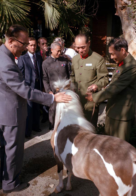 32ڲι۶԰иһƥСë.jpg