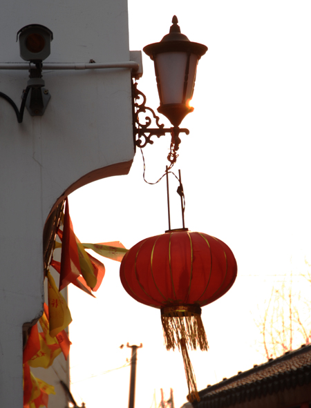 DSC_0393.jpg