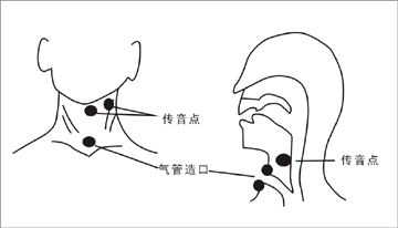 ͼ1.gif