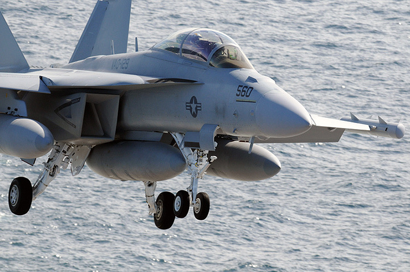 03&nbsp;&nbsp;EA-18Gӹ.jpg