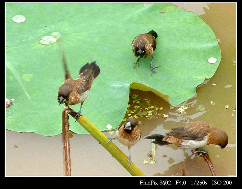 DSCF0043.jpg