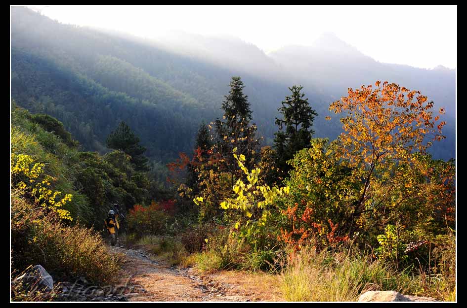 DSC_0059a.jpg