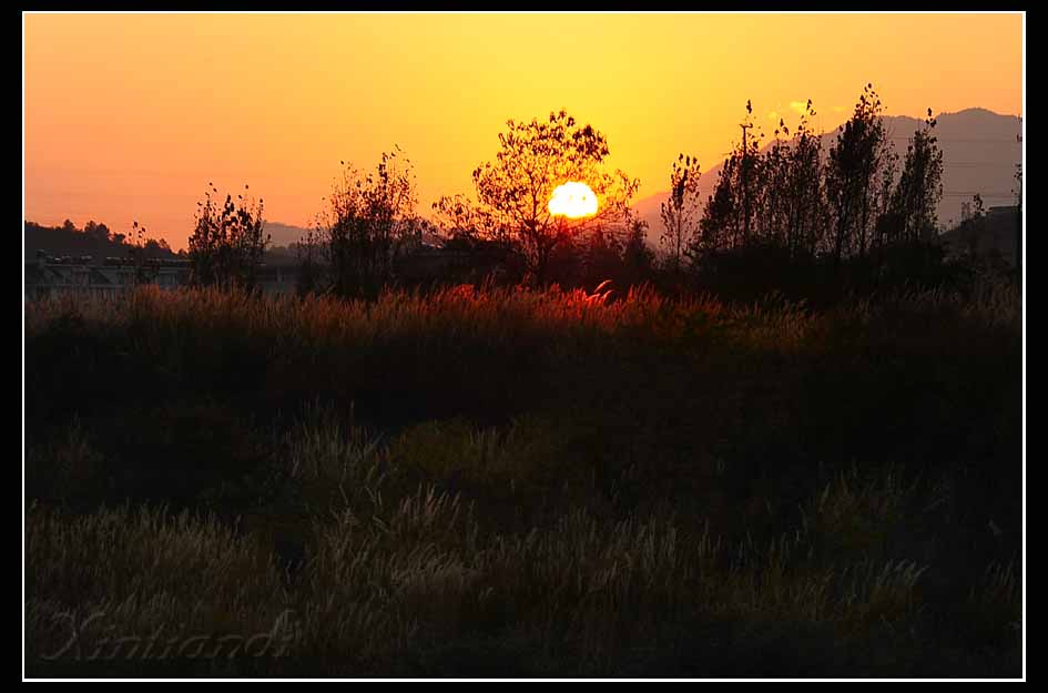 DSC_0496a.jpg