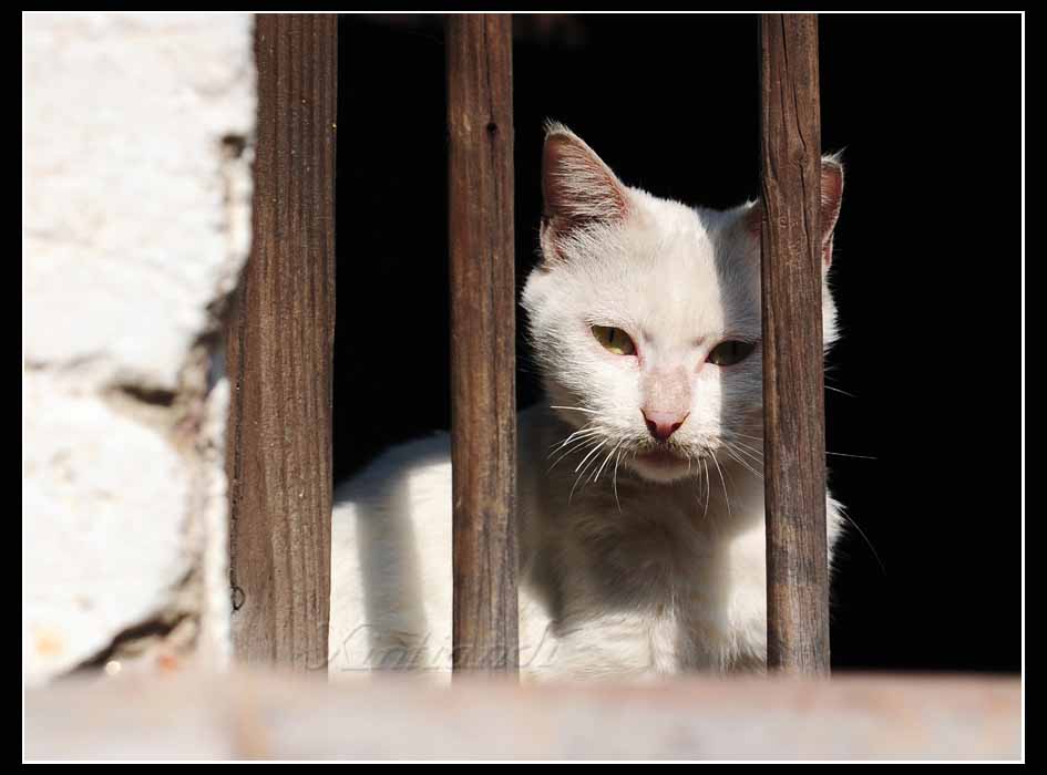 DSC_0324.jpg