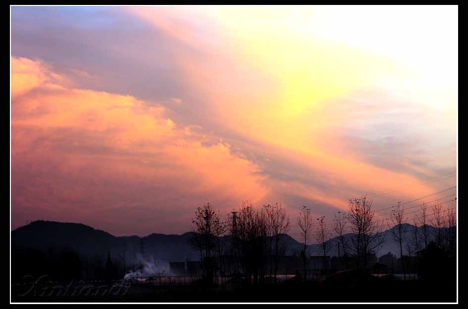 DSC_0513a.jpg