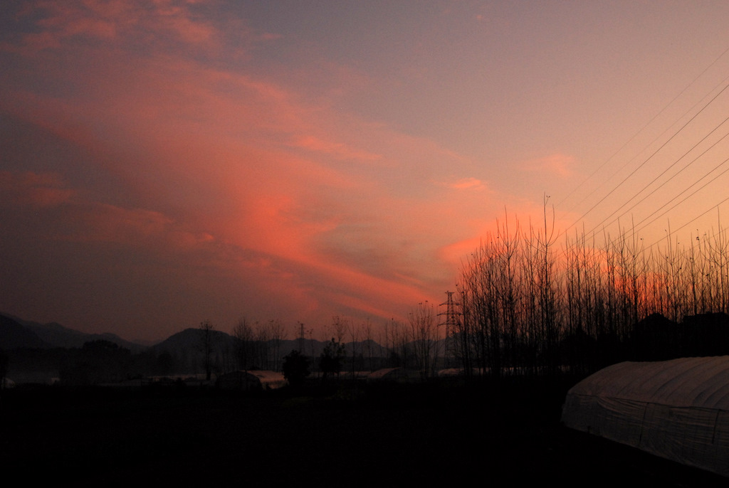 DSC_0822.JPG