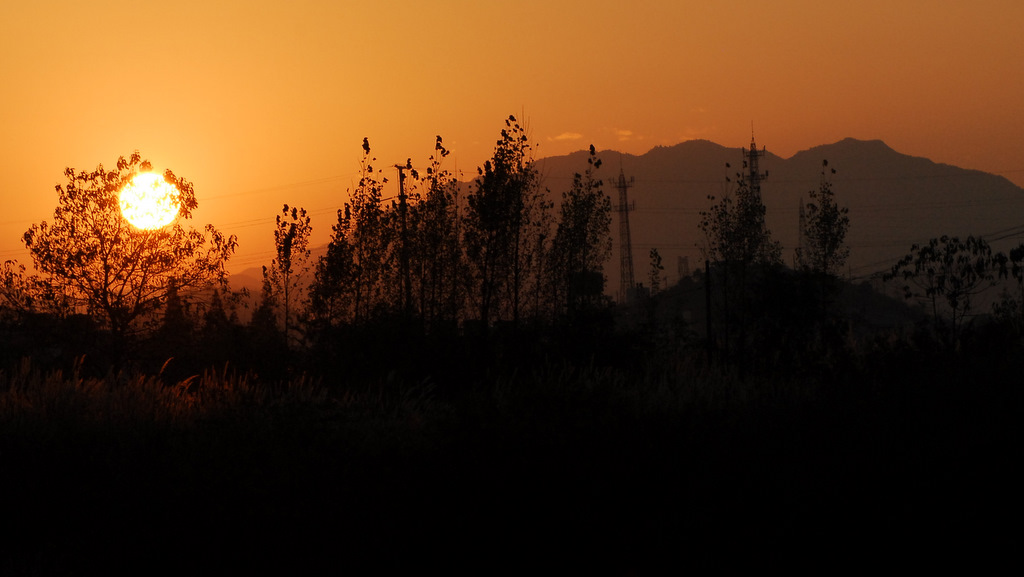 DSC_0798.jpg