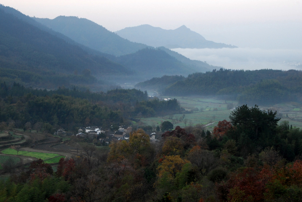 DSC_0454.jpg