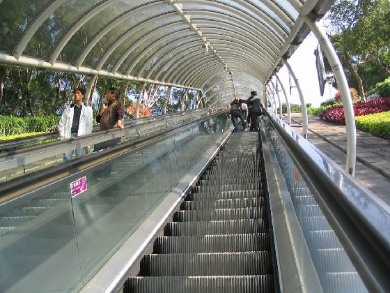 1216958722074[1].jpg