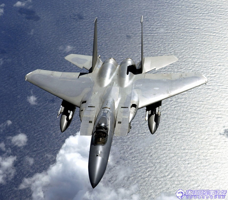 391F-15ӥ.jpg