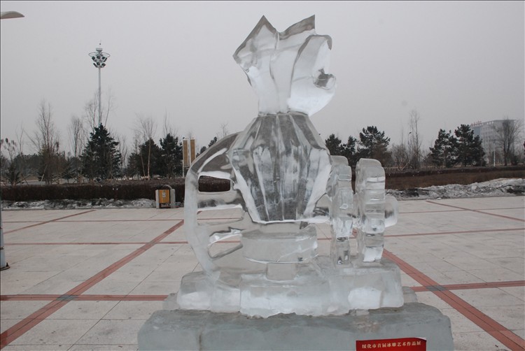 DSC_0320.JPG