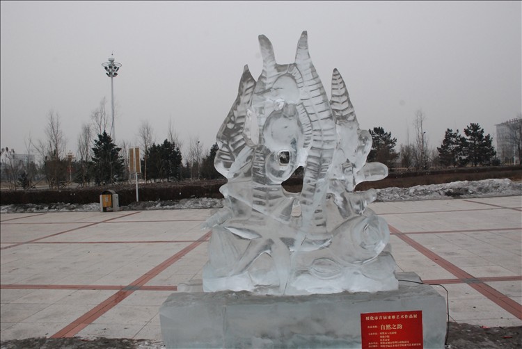 DSC_0314.JPG