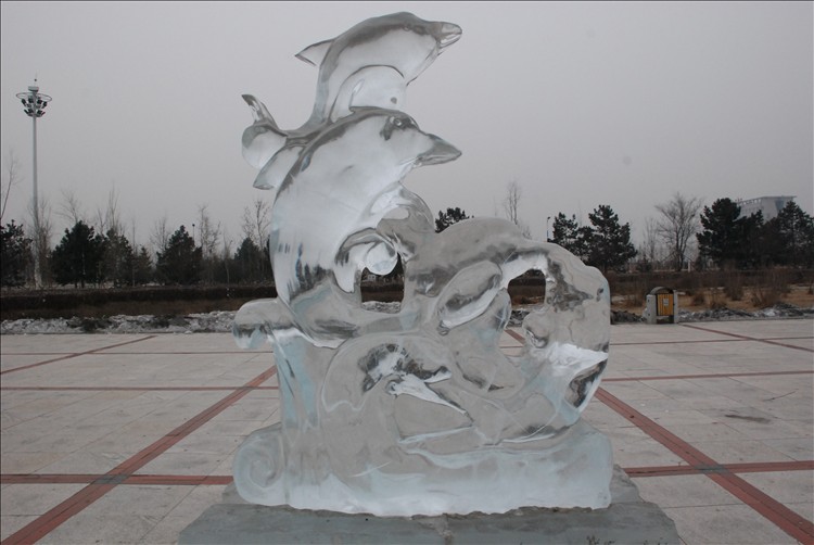 DSC_0312.JPG