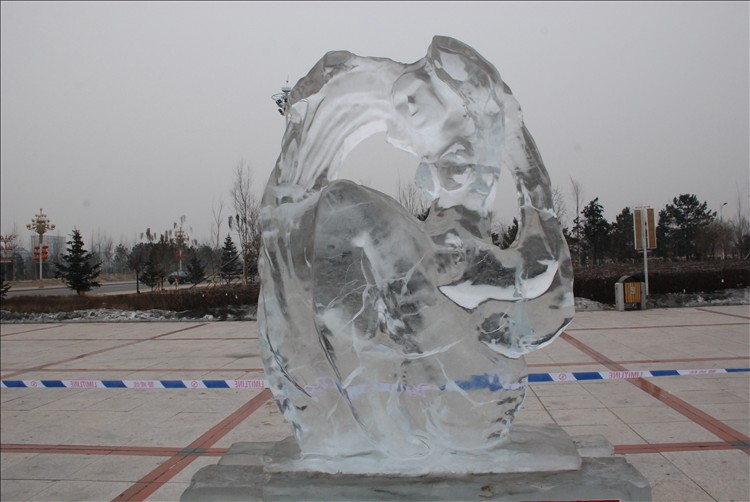 DSC_0321.JPG