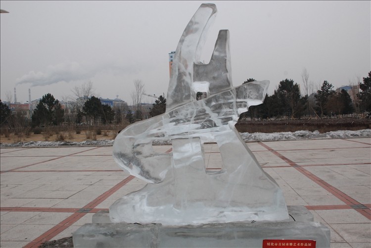 DSC_0305.JPG