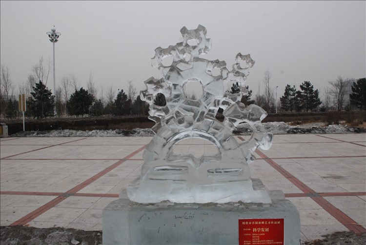 DSC_0313.JPG