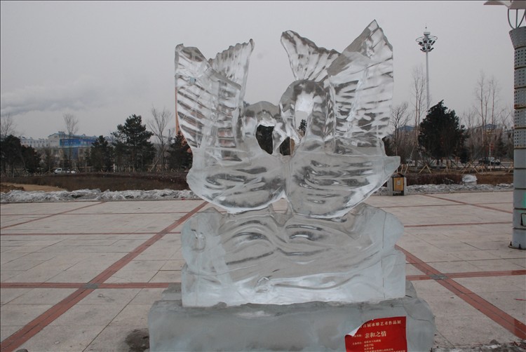 DSC_0309.JPG