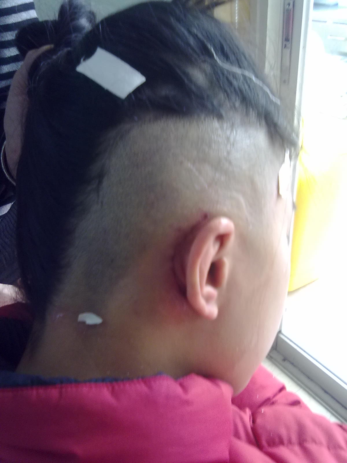201202122436.jpg