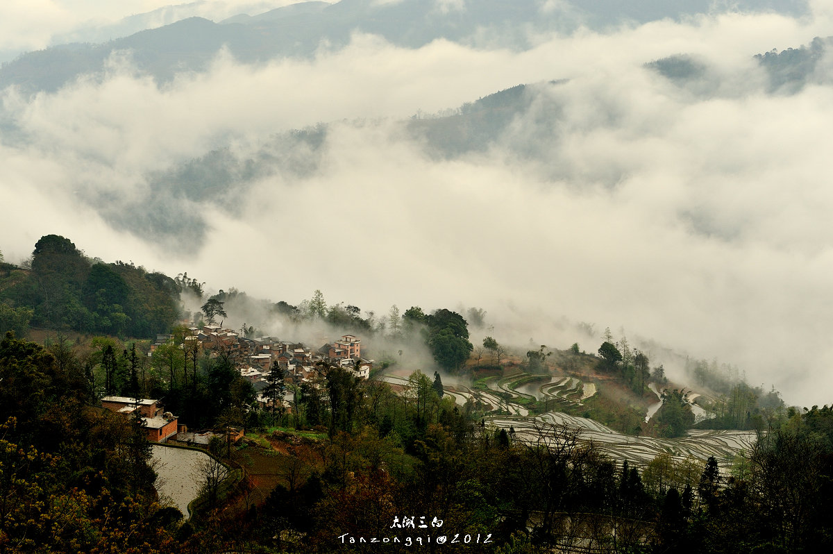 DSC_6007-A.jpg