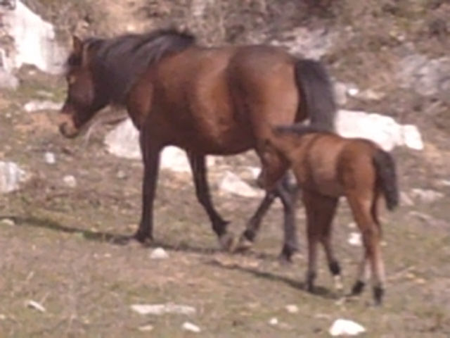 SUNP0094.JPG