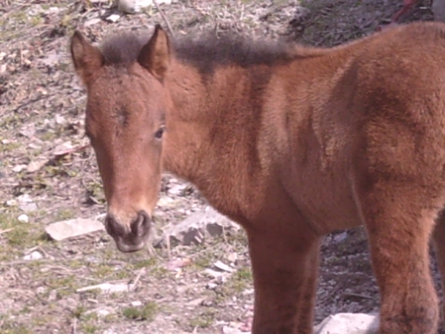 SUNP0106.JPG