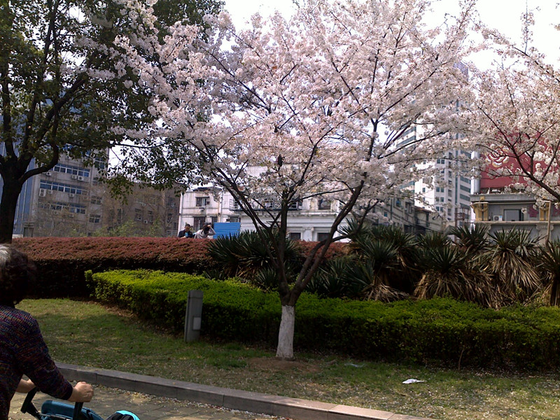 20120402344_.jpg