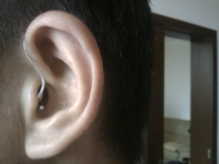IMAG0064.jpg