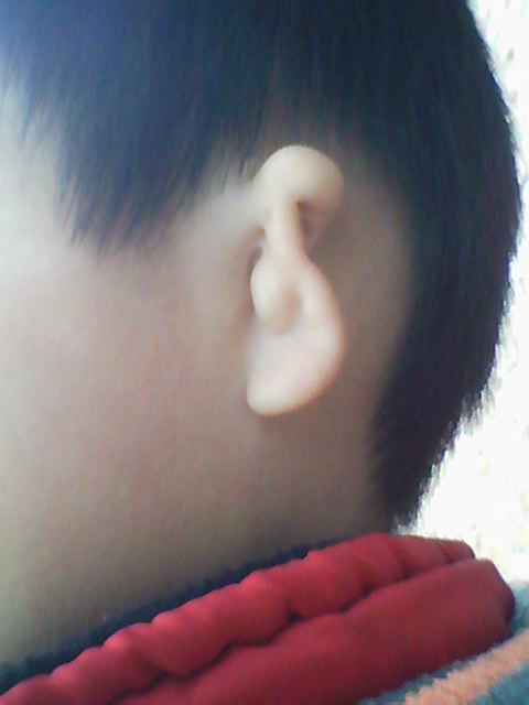 Img00006.jpg