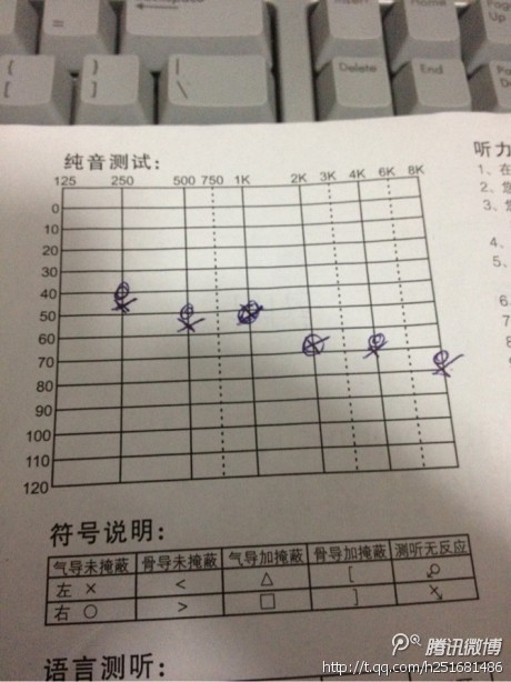 460.jpg