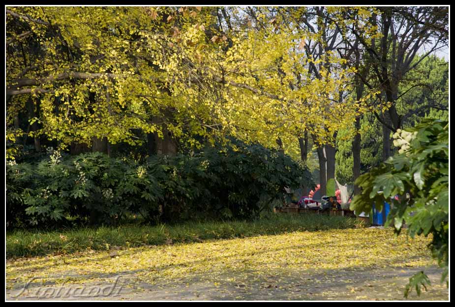 DSC_0408.jpg