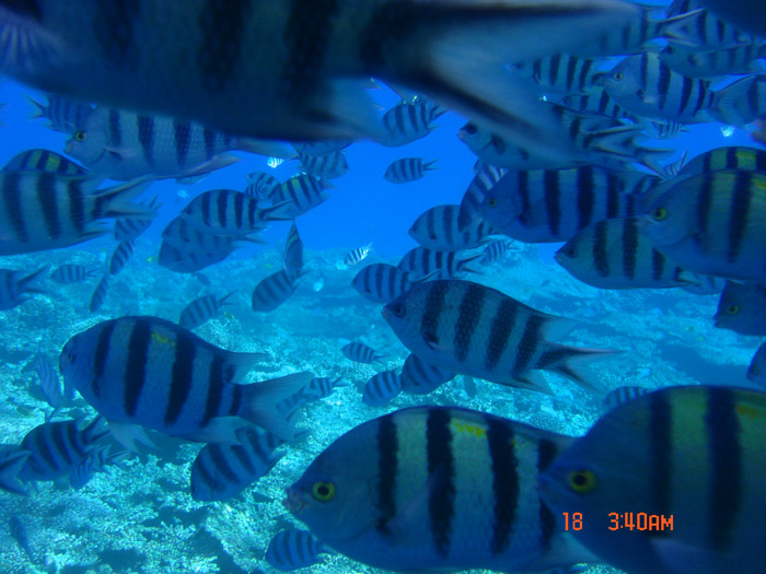 DSC04317.JPG