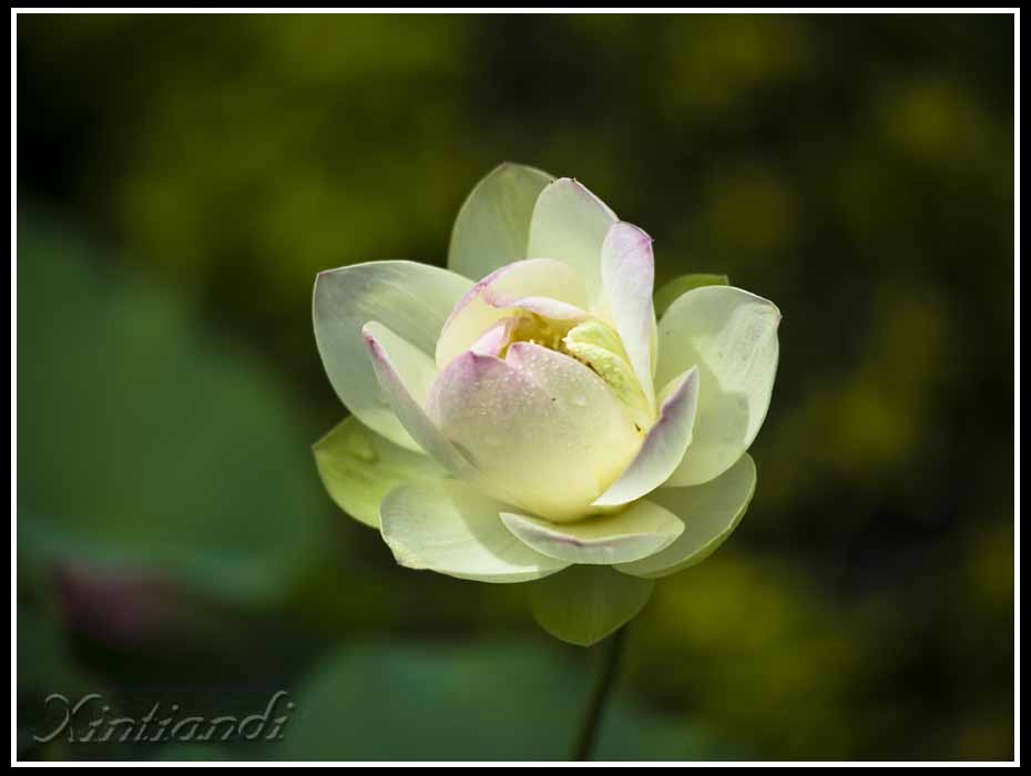 DSC_0430.jpg