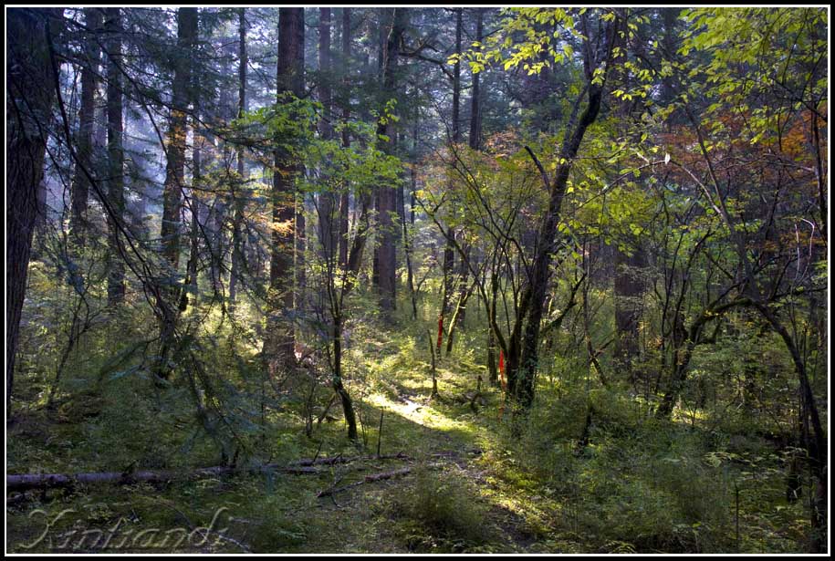 DSC_2769.jpg
